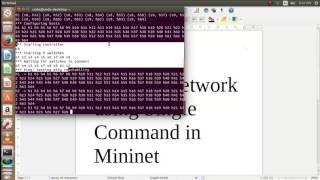Mininet custom topology