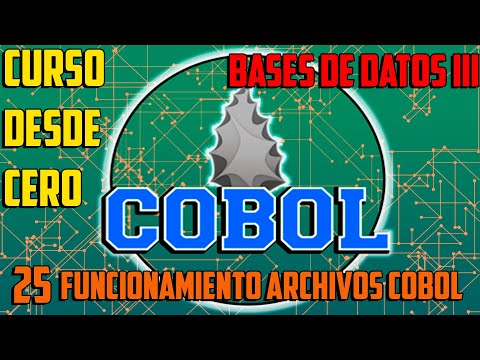Funcionamiento del programa de archivo - Bases de datos III  - Curso COBOL desde cero - Capítulo 25