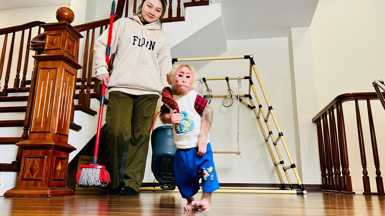 Bibi helps Mom clean the house to welcome the new year 2024