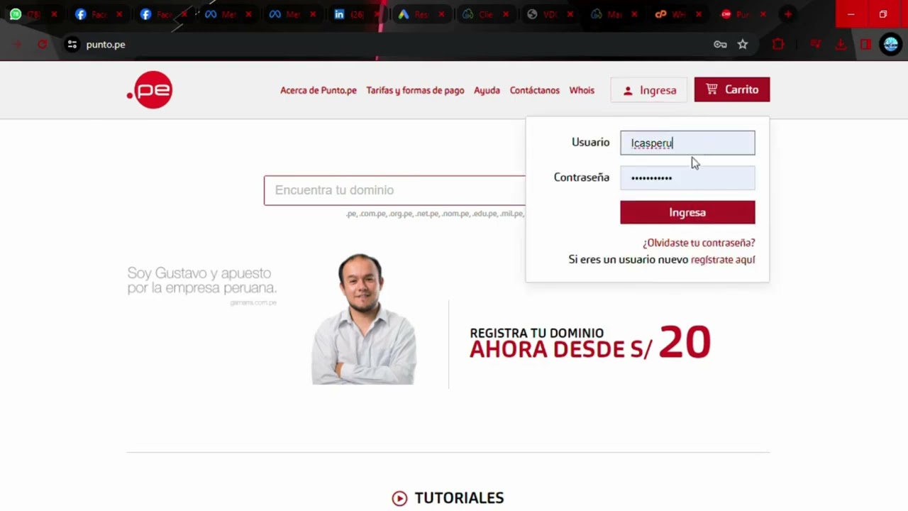 Como cambiar los DNS para tu dominio de PUNTO.PE