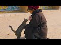 【Wandering Tehran — A City of Iran’s PulseWandering Tehran — A City of Iran’s Pulse】