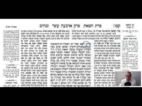 Zevahim 115b - Youtube