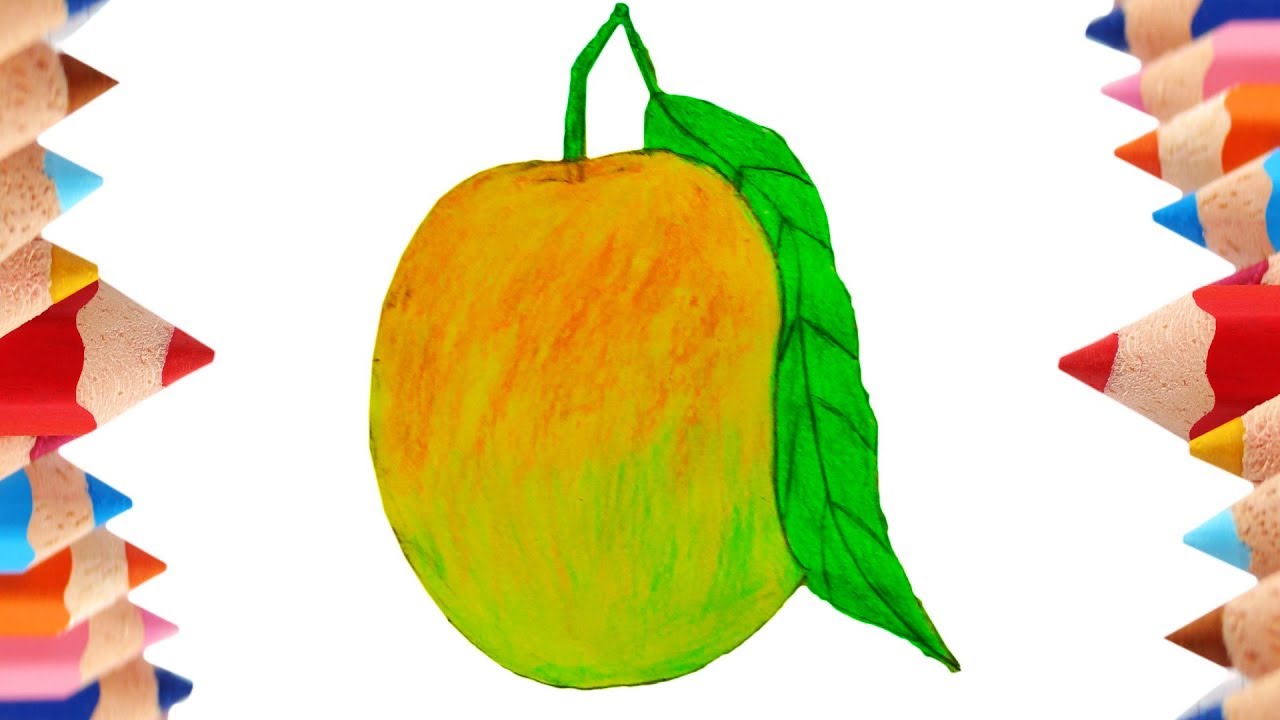 How To Draw Mango Fruit Mango Fruit Drawing YouTube