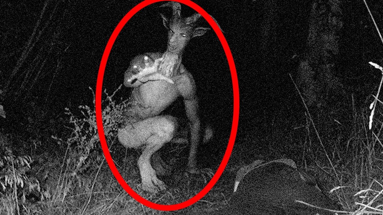 TOP 10 Scariest Unexplained Trail Cam Photos - YouTube.