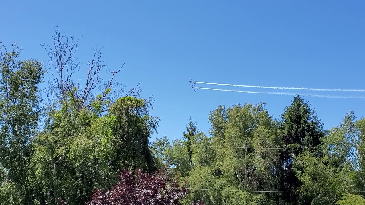 CAF Snowbirds fly-by