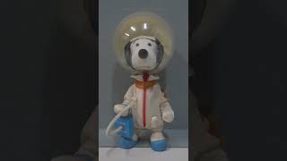 Not only did Snoopy fly against the Red Baron, but he also flew with NASA!
The Air Zoo is a world-class, Smithsonian-affiliated aerospace and science museum, in Kalamazoo, Michigan.
Plan your visit: www.airzoo.org
Merch: www.airzoostore.org Not only did Snoopy fly against the Red Baron, but he also flew with NASA!