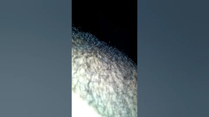 February 23, 2017