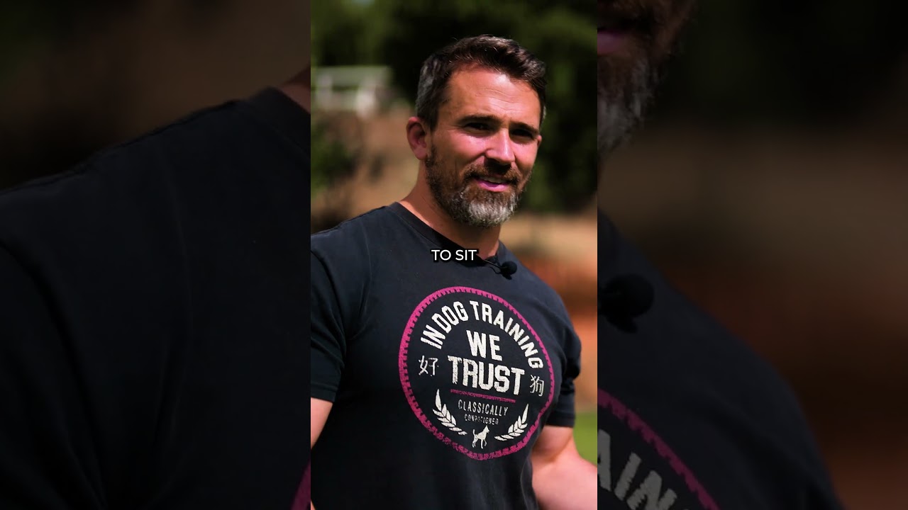 EASY Dog Training With The Luring Method