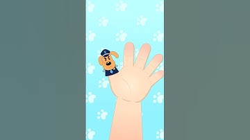 Finger Family (Sheriff Labrador Version) | Nursery Rhymes & Songs for Kids #shorts