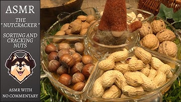 ASMR - Sorting and cracking nuts ( No commentary )