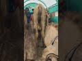 ر اك ب ين ي و م ا س ول ت ون يش ر ك ب ت ي م ا ع اد ت ت س م ع