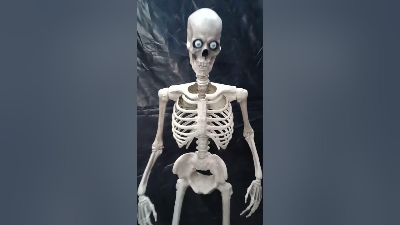 Halloween Yard Haunt 2024 October 30 Daytime tour YouTube