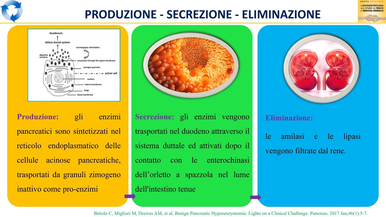 Cause di aumento delle amilasi e lipasi pancreatiche