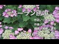 ソーラン鴎唄/椎名佐千子  歌もりもり