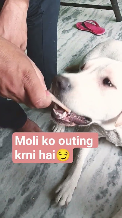 #moli👻outing#