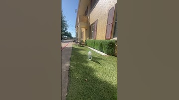 💥 EXPLODED💥water bottle w/ dry ice #scienceiscool #shorts #boom #dryice #bomb