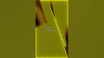 بركي مافيا تعسي ابوني تصميم فيديوهات شاشهسوداء شاشة سوداء تصميمي مونتاج اغاني راي Rai 