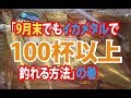 自作仕掛けで爆釣！「9月末でもイカメタルで100杯以上釣れる方法」の巻 - fathom（ファゾム）