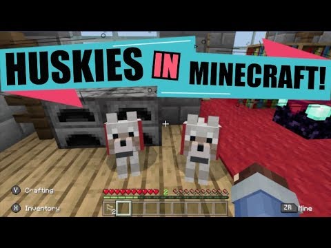 my-huskies-are-in-minecraft!!!-(roo-is-there-too)