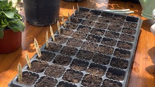 Tohum Ekimi 4 Adımda.