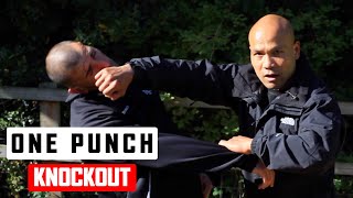 One punch knockout | Wing Chun Combat 