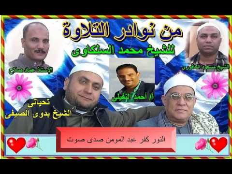  الشيخ محمد السلكاوى ما تيسر من سورة النور كفر عبد المومن صدى صوت