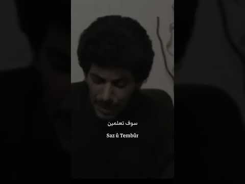 Tu Nizanî şeyda مترجمة Kurdi كردي Shorts