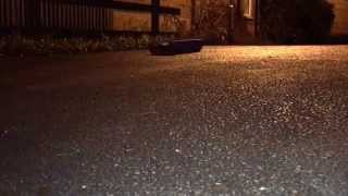 Dklm Metal Leo2 Chis, 550 Motors And Ibu2 Pro Test Run