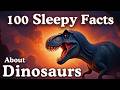 Relaxing Dinosaur Facts to Help You Sleep π¦