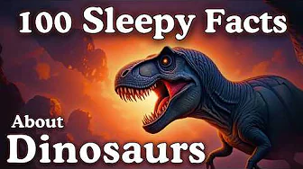 The Most Relaxing Dinosaur Facts to Fall Asleep To