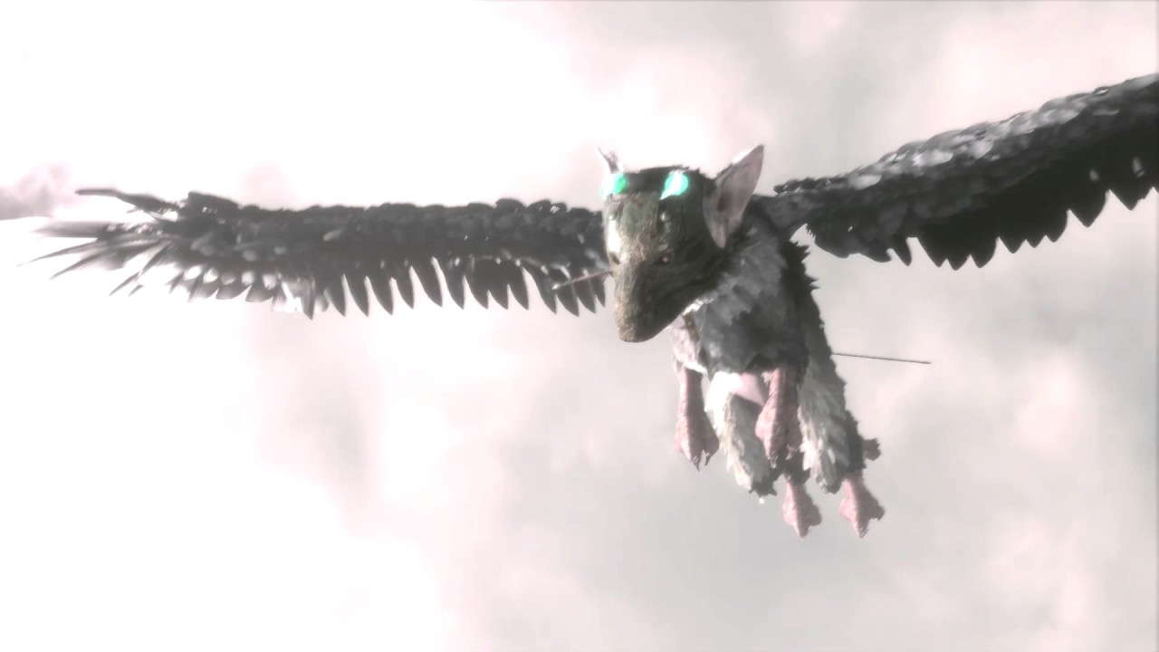 The Last Guardian~ TRICO (A Super Cute Montage Tribute!) 