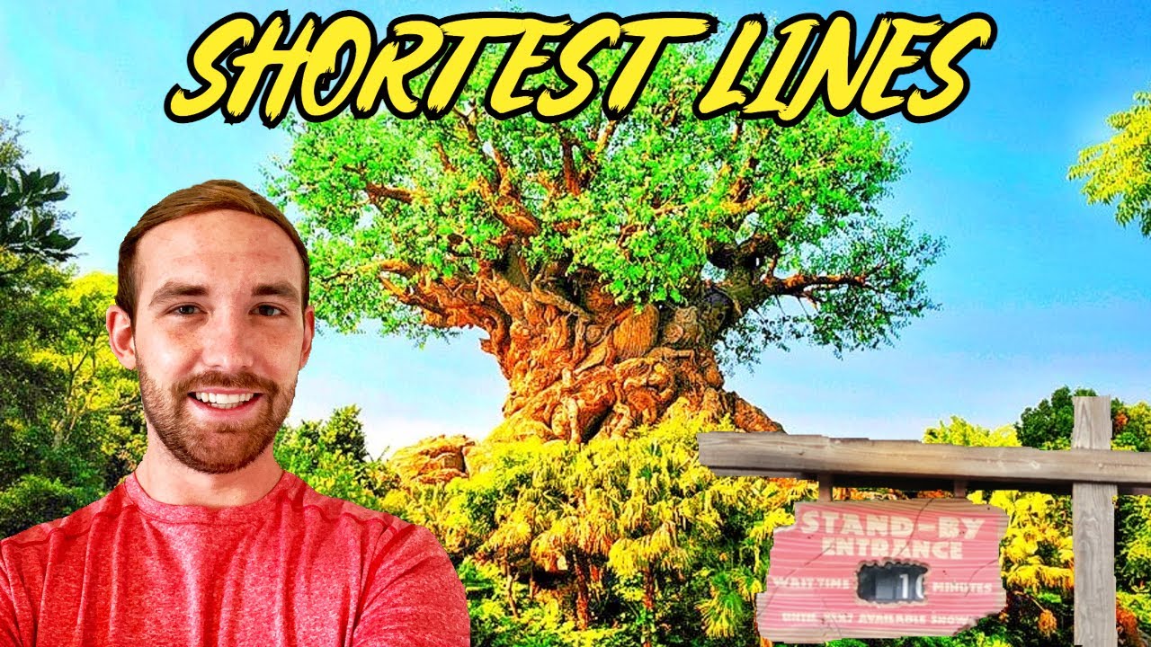 SHORTEST ANIMAL KINGDOM WAIT TIMES DISNEY WORLD 2021 YouTube