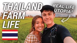 Organic Farm Stay in Thailand: Eco-Tourism at Its Best 🇹🇭