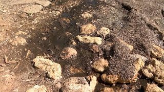 Vesins de Santa Eulària es queixen d'un vessament a la zona d'es Faralló