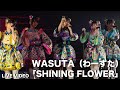 WASUTA（わーすた）「SHINING FLOWER」Live Video