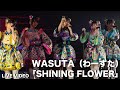 わーすた(WASUTA)「SHINING FLOWER」Live Video