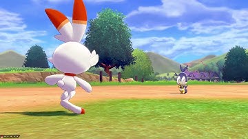 Pokemon  Sword    FULL ODDS Rookidee PHASE 1 Hunting For Blipbug