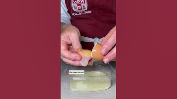 Why We Pasteurize Eggs