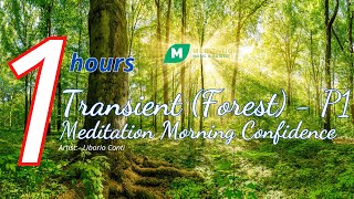 Transient (Forest) | Meditation morning Confidence | Relax for An Energetic Morning (P1)