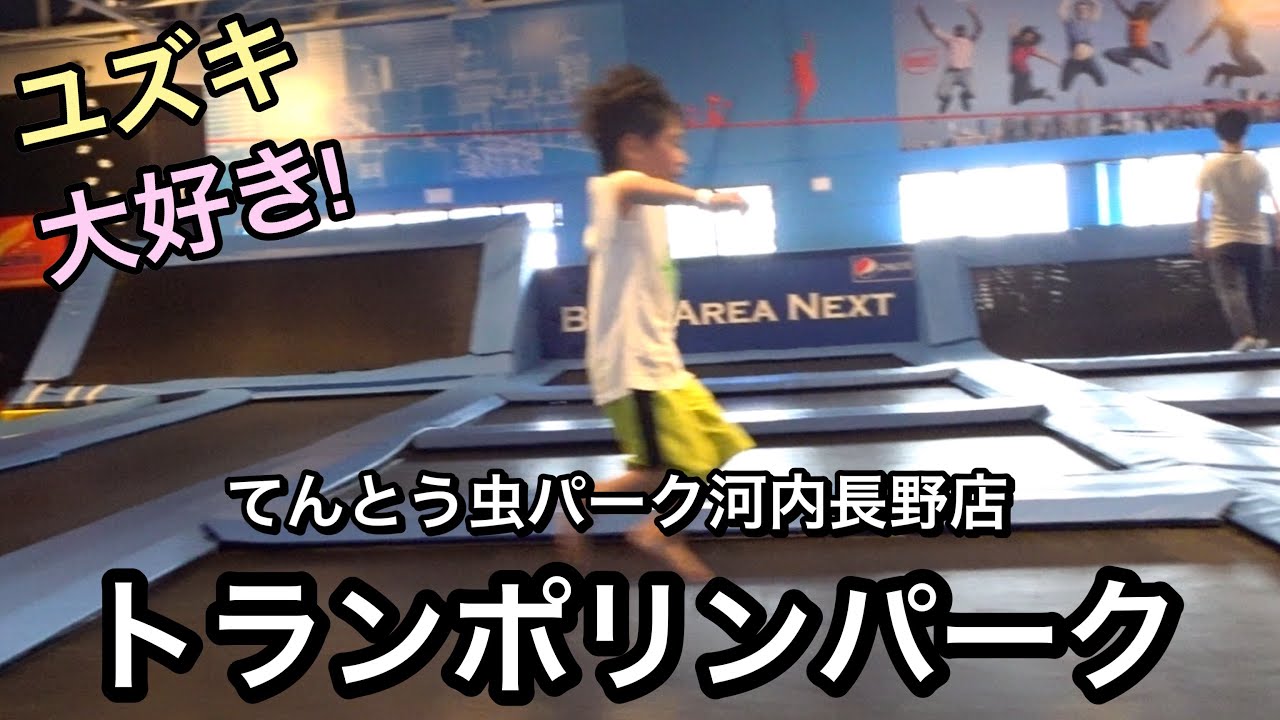 トランポリンパークで遊んだよ てんとう虫パーク河内長野店 Youtube トランポリンパークで遊んだよ てんとう虫パーク河内長野店 Youtube