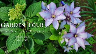 Inaugural Garden Tour, May 2024  A little introduction and a look at some Clematis