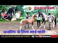 Marwari Horse ll देव स्टड फार्म ll  Rajasthani Marwari Horse.