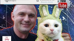 Презент от РоссИмпортОружие