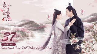 Tam Sinh Tam Thế Thập Lý Đào Hoa Tập 37 Eternal Love