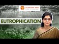 Eutrophication and Water Bodies: Understanding the Impact of Nutrient Pollution