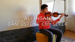 Ali Insan - Dam üstüne cul serer Resimi