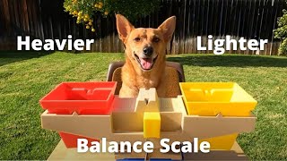 Professor Ginger Measures Weight Using a Balance Scale   4K