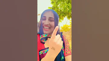 New Meena Geet Status 2025 Meenasongs 