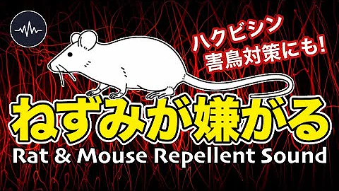超強力なネズミが嫌がる音 超強力なネズミが嫌がる音