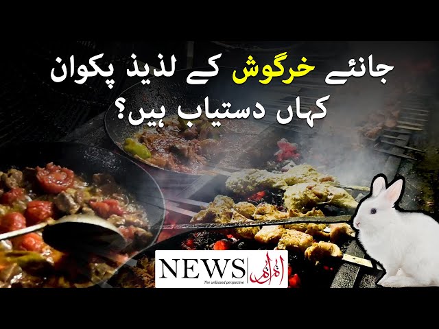 Join us to know where are delicious Rabbit Dishes available in Karachi